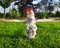 Ornamento da Giardino in Pietra/Cemento - Nano Felice