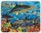 3D LiveLife Magnet - Haifischriff von Deluxebase. Linsenförmige 3D Ozean Kühlschrankmagnet. Dekoration für Kinder und Erwachsene mit Kunstwerk lizenziert von bekannt Künstler, David Penfound