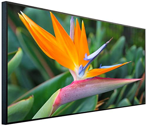 Ecowelle Infrarotheizung mit Bild | 750 Watt | 60x120 cm | Infrarot Heizung| | Made in Germany| a 81 Paradiesvogel Blume