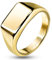 Paula & Fritz® Damen Siegelring Rechteck Gold 316L Chirurgenstahl Größe 52 (16,6) Freundschafts-Ring Herren Partner Biker