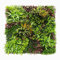 SYNTHAIETIK Mur Végétal Artificiel Wood Colors Prix/m² Plaque de 1m *1m décoration Murale Palette automnale vibrante