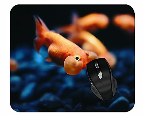YENDOSTEEN Tapis de Souris de Jeu personnalisé,Tapis de Souris de Bureau Goldfish Bubble Stones 300 * 250 * 3 mm