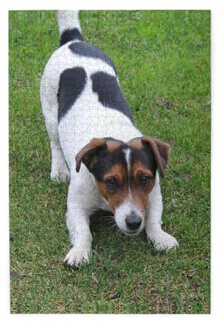 Jack Russell Dog Print Jigsaw Puzzle 1000 Piece Wooden Jigsaw Puzzles Personalized Puzzle Family Game