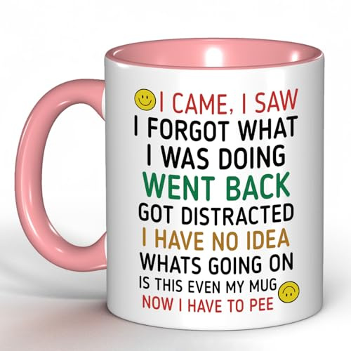Funny 'I Came, I Saw, I Forgot' Coffee Mug – Humorous Gift for Men & Women, Perfect for Birthday Gifts, Christmas Presents & Office White Elephant (Pink-Colorful Text)