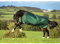 Horseware Rambo Original Turnout Lite 100g - Green/Red