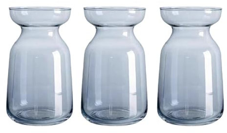 Bafnsiji Small Glass Vase Set, Flower Vases Glass, Clear Oblong Vases for Hyacinth Bulbs, Avocado Growing, Centrepiece Decor