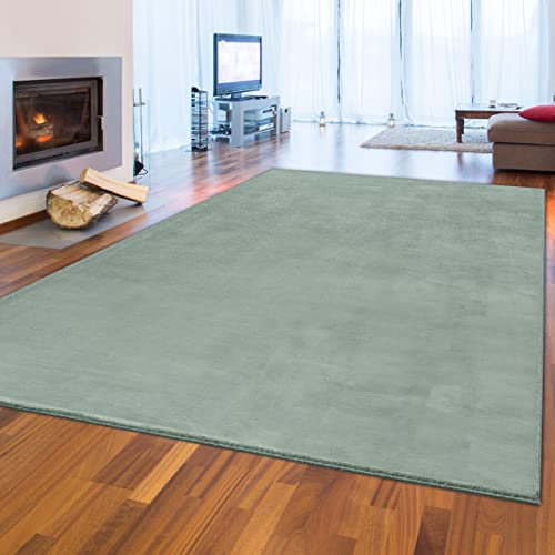 Teppich-Traum Modern Flauschiger Teppich Wohnzimmer | einfarbiges Design: schönes hellgrün, 200x290 cm