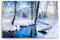 Paul Sinus Wandbild 90x60cm Bach im Wald Winter Schnee Winterlandschaft Weiß (60x90cm)