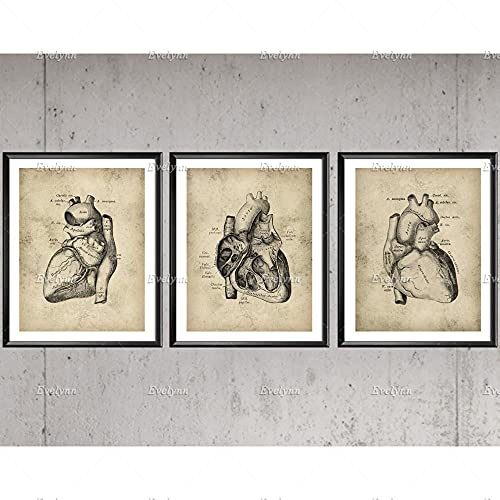 Yimesoy Nordic Vintage Herz Anatomie Poster Kardiologie Modulares Bild Medizinische Kunst Wand Dekor Klinik Dekor Zahnarzt Geschenk Arzt Büro Dekor 16X24X3Pcs