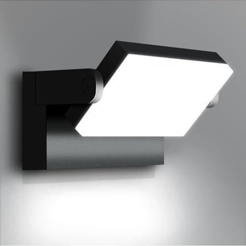 Kingwen LED Wandlampe 6000K Aussenleuchte 40W mit 360°Schwenkbar Modern LED Wandleuchte Innen/Aussen Außenlampe Schwarz Wandbeleuchtung innen IP65
