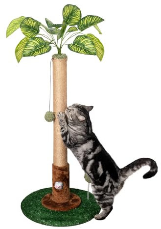 Meowoou 81 cm Kratzsäule, Hohe Kratzstamm mit Sisalseil für Hauskatzen, Kratzbaum Säule, Kratzbaum in Grün mit Katzenspielzeug