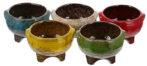 Lot de 5 Pots à Bonsaï en Céramique pour Plantes Succulentes