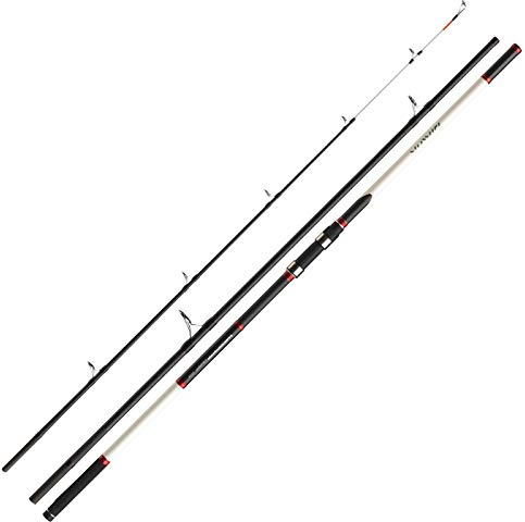 Daiwa Rute Windcast Surf 4,20m; 100-200g; 3-tlg.