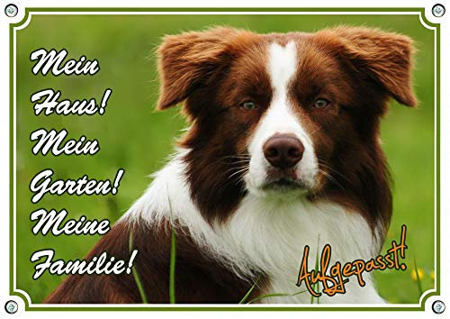 Petsigns Hundeschild - Border Collie - uv-beständgies Metallschild, DIN A3