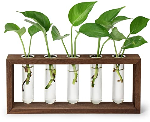 THYGIFTREE Wall Mounted Propagation Tubes,Hanging Plant Propagation Station Test Tube Wooden Stand with 5 Test Tube Perfect for Hydroponic Cuttings, Desktop terrarium plants Vase Home Decor Gifts