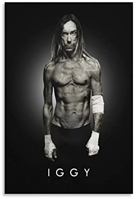 ACIDI Poster und Drucke 60 * 90cm Iggy Pop Art Wohnzimmer Schlafzimmer Dekoration Kein Rahmen