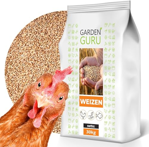 Weizen Futterweizen Geflügelfutter Hühnerfutter Vogelfutter Körner Hühner 30kg Getreide für Hühner, Sack mit Weizenkörnern, Körner, Wildvögel, Kaninchenfutter Neue Ernte