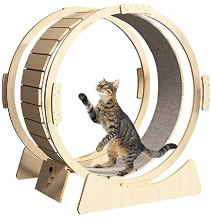 Haustier-Katzen-Laufband, Indoor-Katzenspielzeug-Laufrad mit austauschbaren Greifpolstern zum Laufen, Drehen und Kratzen, leise und geräuschlos,XL