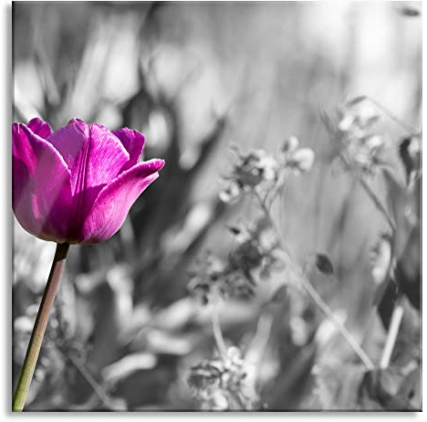 Pixxprint Glasbild, Wandbild auf Echtglas, Blumen im Sonnenschein, 40x40 cm, inkl. Aufhängung und Abstandshalter