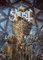 Displate Offiziell Ghost MetallPoster Magnetische Befestigung Inklusive Lizenziert Bilder Hochwertiges Poster Irrefragabilis es - Impera 45 cm x 32 cm