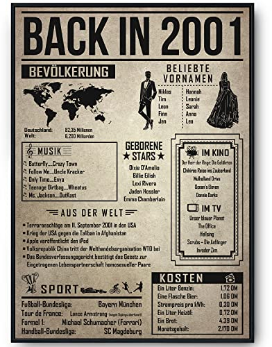 Tigerlino® 24. Geburtstag Geschenkidee personalisierbar | Poster Jahrgang 2001 Geschenk für Männer Frauen 24 Jahre Geburtstagskarte | Back in 2001 Rückblick Zeitreise Geburtstagsgeschenk