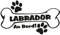 Plott Aufkleber Hundeknochen Labrador An Bord Pfote Hund Dog Sticker Bone