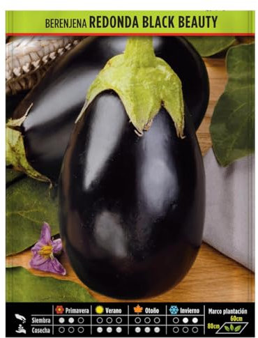 Semillas Horticolas - Berenjena redonda black beauty - Semillas listas para plantar.