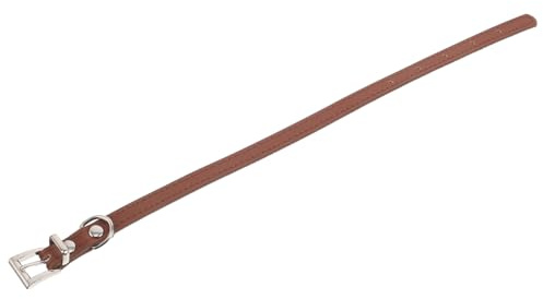 SHINEOFI Hundehalsband Verstellbar aus Pu für Kleine Hunde und Katzen Leicht und Bequem für Alltag S Geeignet für Hochzeiten und Feiern