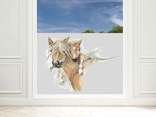 GRAZDesign Sichtschutzfolie Kinderzimmer Pferd, Fensterfolie Blickdicht, Milchglasfolie, 57cm hoch - 90x57cm / Pferd mit Fohlen