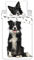 Jerry Fabrics Hunde Bettwäsche Set Border Collie Bettbezug 140 x 200 + Kopfkissen 70 x 90 cm ÖKO-TEX Bettwäsche-Set 100% Baumwolle mit Reißverschluss, reversibel