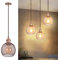 TWSXTE Lámpara colgante vintage E27, lámpara de techo industrial retro, araña de jaula de estilo vintage, iluminación interior, decoración de cuerda ajustable