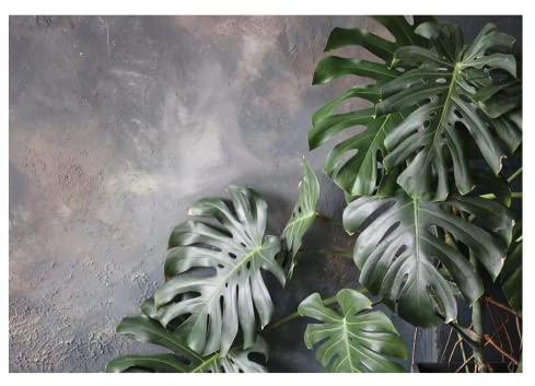 Fototapete Blätter Monstera Pflanzen 3D Grün Vintage Betonoptik - inkl. Kleister - für Wohnzimmer Schlafzimmer Flur Vlies Tapete Vliestapete Wandtapete Motivtapeten Montagefertig (368x254 cm)