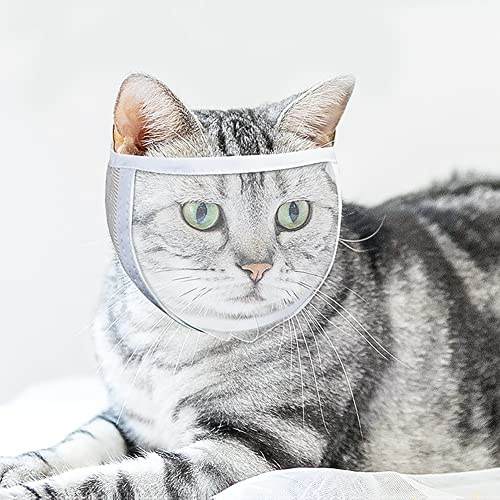 LONTG Katze Maulkorb Transparenter Mundschutz Anti-Beißen Kauen Lecken Gesichtsbedeckung Verstellbare Katzenhaube Katzenmaulkorb Tägliche Katzenpflege Baden Krallenschneiden Mundabdeckung Hilfsmittel