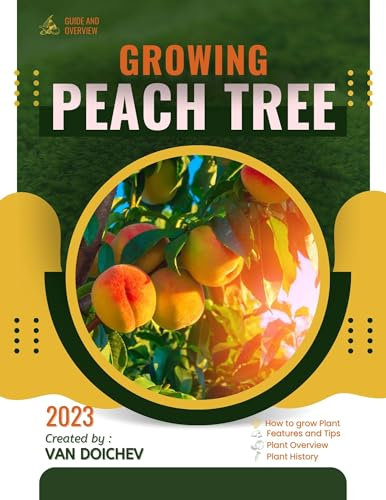 Peach Tree: Guide and overview
