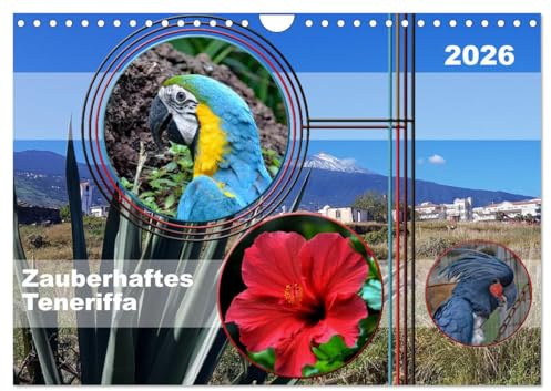 Zauberhaftes Teneriffa (Wandkalender 2026 DIN A4 quer), CALVENDO Monatskalender: Fantastische Ausflüge auf Teneriffa (CALVENDO Orte)
