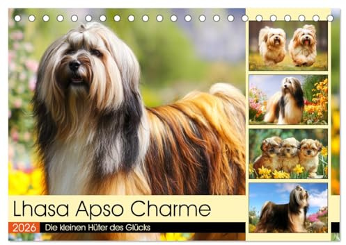 Lhasa Apso Charme. Die kleinen Hüter des Glücks (Tischkalender 2026 DIN A5 quer), CALVENDO Monatskalender: Die Schönheit und das stolze Wesen des Lhasa Apso in malerischen Szenen (CALVENDO Tiere)