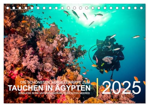 Die schönsten Korallenriffe zum Tauchen in Ägypten (Tischkalender 2025 DIN A5 quer), CALVENDO Monatskalender: Einblicke in die Unterwasserwelt des Roten Meeres (CALVENDO Sport)
