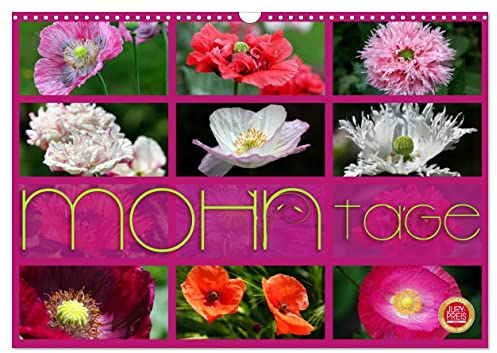 Mohn Tage (Wandkalender 2025 DIN A3 quer), CALVENDO Monatskalender: Mohn in seiner schönsten Form - Geniessen Sie 12 wunderbare Mohn Portraits (CALVENDO Natur)