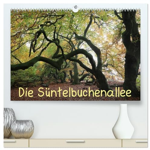 Die Süntelbuchenallee (hochwertiger Premium Wandkalender 2026 DIN A2 quer), Kunstdruck in Hochglanz: Farbfotos zeigen die Jahreszeiten in der Süntelbuchenallee (CALVENDO Natur)