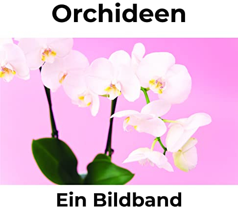 Orchideen: Ein Bildband