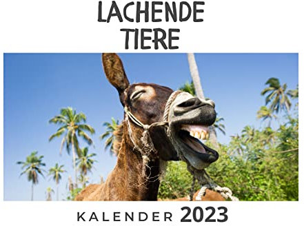 Lachende Tiere: Kalender 2023