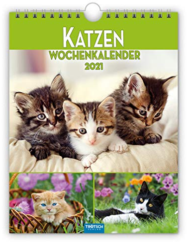 Wochenkalender Katzen 2021: 19 x 25 cm