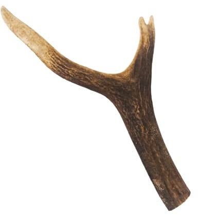 Natural Treats Medium Antler Dog Chew (1pc) 100% Natural Hypoallergenic Long Lasting-Venison (75-150g)