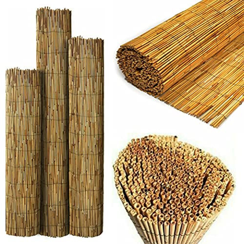 SASONS® Quality Garden Natural Peeled Reed Fence Screen Roll Panel Best for Outdoor Privacy, Fencing Screening Wooden Fence Walls Sun/Wind Protection [ 2 x 4 meter ]