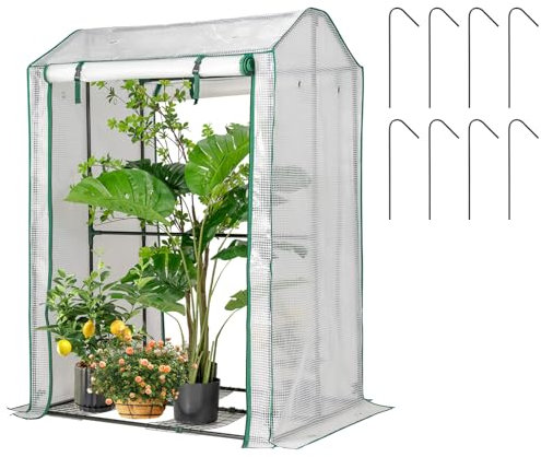 HOMASIS Petite Serre de Jardin pour Plantes en PE et métal Serre à tomates pour Jardin, Balcon, terrasse, 100 x 81 x 150 cm, Blanc et Vert