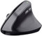 Trust Tm-270 Wireless Ergonomic Mouse One Size