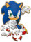Holz Puzzle Junior 50 - Sonic