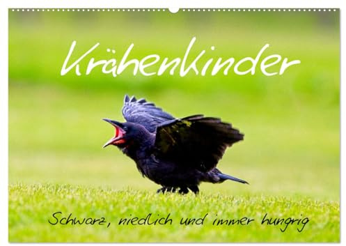 Krähenkinder - Schwarz, niedlich und immer hungrig (Wandkalender 2026 DIN A2 quer), CALVENDO Monatskalender (CALVENDO Tiere)