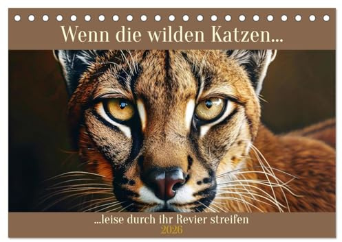Wenn die wilden Katzen leise durch ihr Revier streifen (Tischkalender 2026 DIN A5 quer), CALVENDO Monatskalender: Von kleinen und großen Samtpfoten (CALVENDO Tiere)
