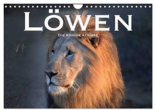 Löwen. Die Könige Afrikas (Wandkalender 2026 DIN A4 quer), CALVENDO Monatskalender: Faszinierende Fotos der wahren Herrscher Afrikas (CALVENDO Tiere)